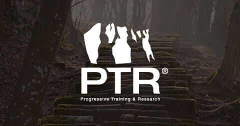 site inernet ptr logo
